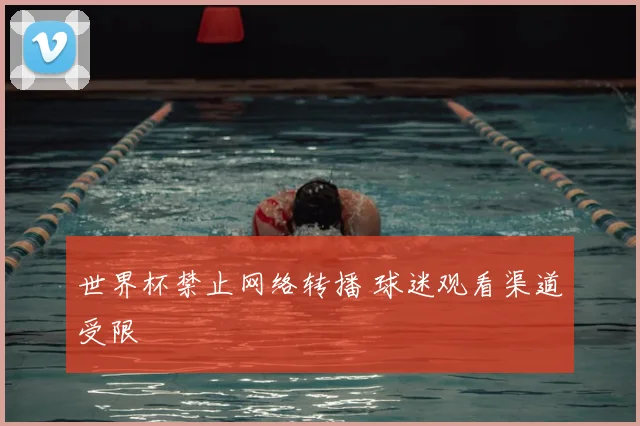 世界杯禁止网络转播 球迷观看渠道受限