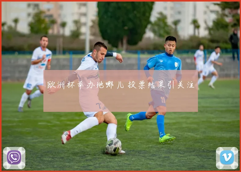 欧洲杯举办地哪儿 投票结果引关注
