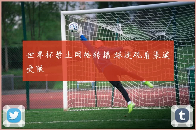 世界杯禁止网络转播 球迷观看渠道受限