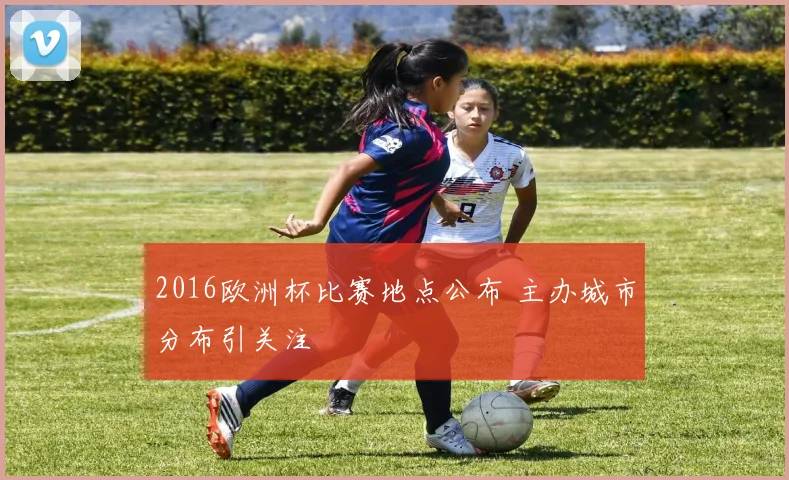 2016欧洲杯比赛地点公布 主办城市分布引关注