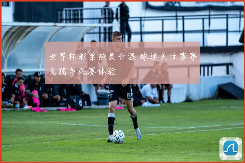 世界杯彩票热度升温 球迷关注赛事竞猜与观赛体验